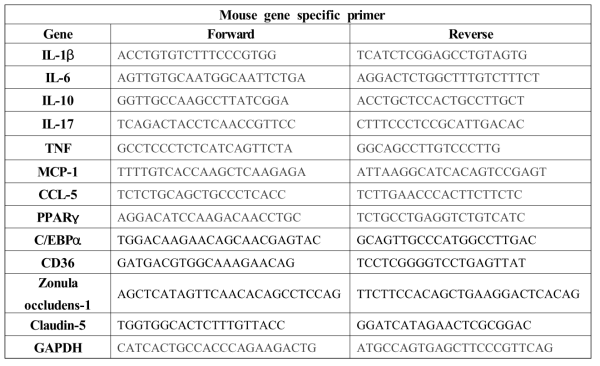 List of primer sequences