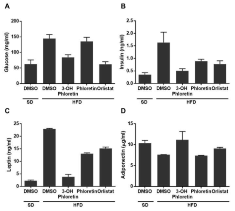 The fasting serum levels of glucose, insulin, leptin, and adiponectin were regulated in mice administered 3-OH phloretin. (A) Glucose, (B) insulin, (C) leptin, and (D) adiponectin levels of the fasting serums were measured with ELISA. Data are shown as the mean ± standard error of the mean (SEM) (*p < 0.05, **p < 0.01, ***p < 0.001, ****p < 0.0001)
