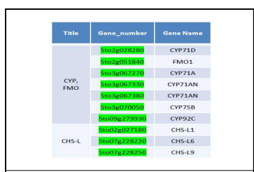 CHS-L 및 CYP 기능 연구용 유전자 후보 선정