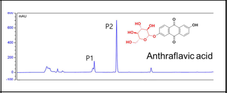 Anthraflavic acid와 미생물 유래 당화효소 반응 결과