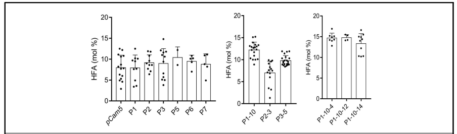 기존에 개발한 pCam5 벡터를 형질전환한 카멜리나의 수산화지방산 함량. 왼쪽부터 T2, T3, T4 종자의 지방산 분석 결과이다
