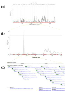 Identification of QTLs and candidate genes related to yield of tofu residue in Daepung× Ilpumgeomjeong RIL population. (A): LOD graph on whole genome, (B): LOD graph on chromosome 9, (C): Candidate genes on chromosome 9