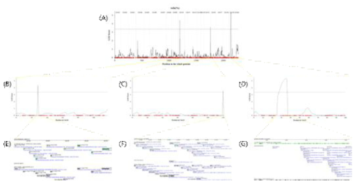 Identification of QTLs and candidate genes related to yield of tofu in Daepung×Ilpumgeomjeong RIL population. (A): LOD graph on whole genome, (B): LOD graph on chromosome 10, (C): LOD graph on chromosome 15, (D): LOD graph on chromosome19, (E): Candidate genes on chromosome 10, (F): Cadidate genes on chromosome 15, (G): Candidate genes on chromosome 19