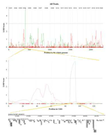 Identification of QTLs and candidate genes related to hypocotyl length in Daepung× Bangsa RIL population. (A): LOD graph on whole genome, (B): LOD graph on chromosome 4, (C): Candidate genes on chromosome 4