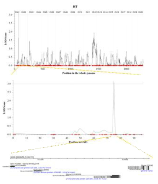 Identification of QTLs and candidate genes related to hypocotyl thickness in Daepung× Pungwon RIL population. (A): LOD graph on whole genome, (B): LOD graph on chromosome 1, (C): Candidate genes on chromosome 1