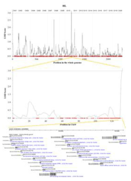 Identification of QTLs and candidate genes related to hypocotyl length in Daepung× Pungwon RIL population. (A): LOD graph on whole genome, (B): LOD graph on chromosome 9, (C): Candidate genes on chromosome 9.