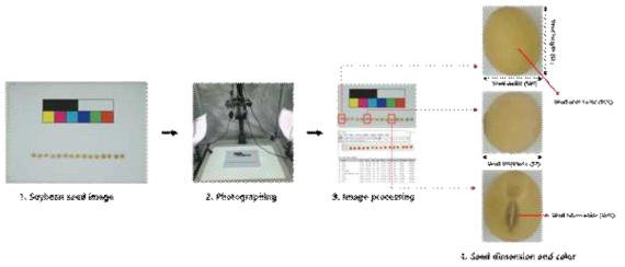 ImageJ를 활용한 종실 외관 특성 이미지 분석 과정