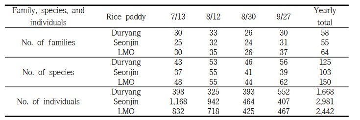 The monthly change in the number of insect families, species, and individuals surveyed in the Duryang, Seonjin, and LMO rice paddy field