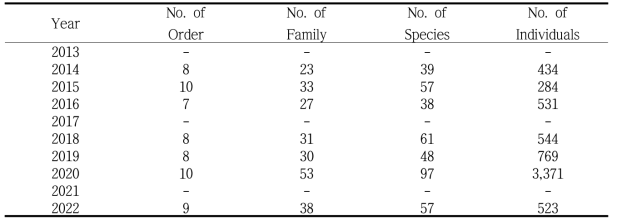 The number of order, family, species, and individuals of insects surveyed at the rice paddy field in early October