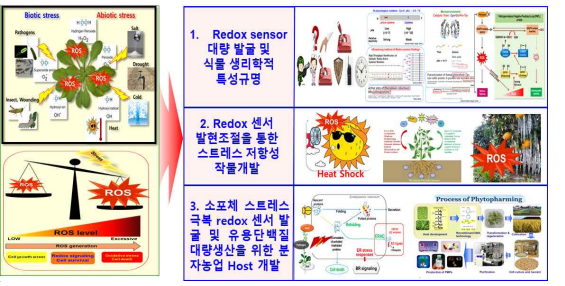 연구개발 추진전략 · 방법