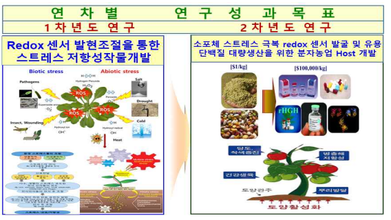 연구 추진 체계