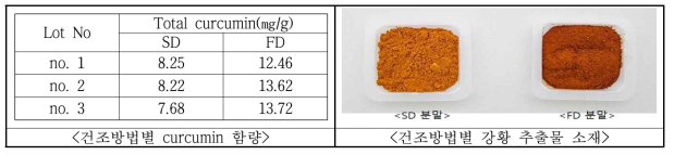 강황 추출물 건조방법별 curcumin 함량 및 성상