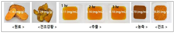 강황 추출물 소재화 과정 중의 성상 평가