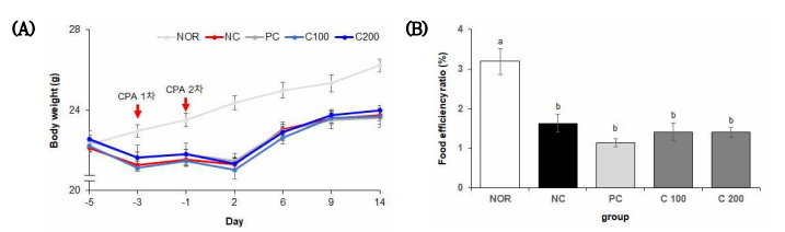강황 추출물 섭취 마우스의 체중(A) 및 식이섭취효율(B) 평가