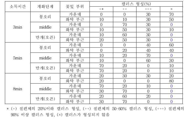장미 17R 23-1 계통 개화단계별 꽃잎 소독시간별, 부위별 배양 1개월 후 캘러스 형성