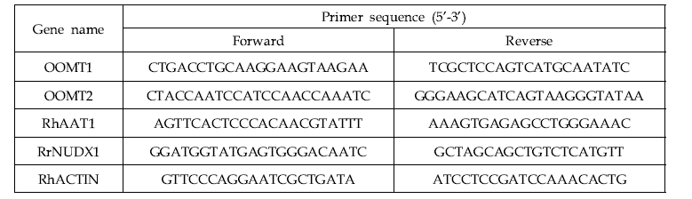 장미 15R 12-2 계통 향기 형성 유전자 상대적 발현량 분석 프라이머 서열