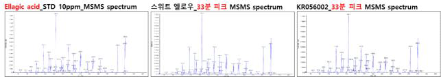 Ellagic acid의 표준품과 장미 캘러스에서 등장한 피크의 MS/MS spectrum 비교