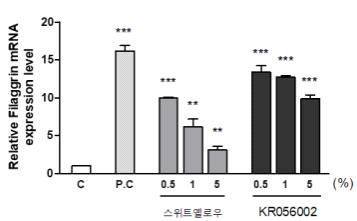 장미 ‘스위트엘로우’ 및 KR56002 유래 캘러스의 FLG mRNA 발현률