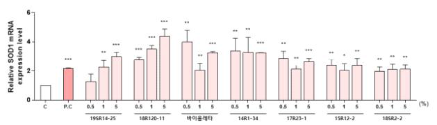 향기가 강한 장미 7품종(계통) 유래 캘러스의 SOD1 mRNA 발현률