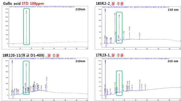 HPLC 크로마토그램에서 확인된 gallic acid 표준물질과 15.3분 피크 비교