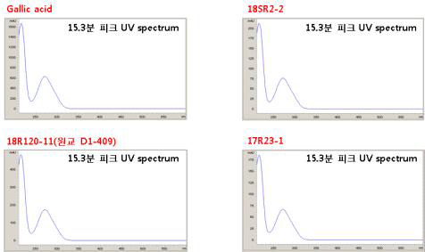 HPLC 크로마토그램에서 확인된 gallic acid 표준물질과 15.3분 피크의 UV spectrum 비교