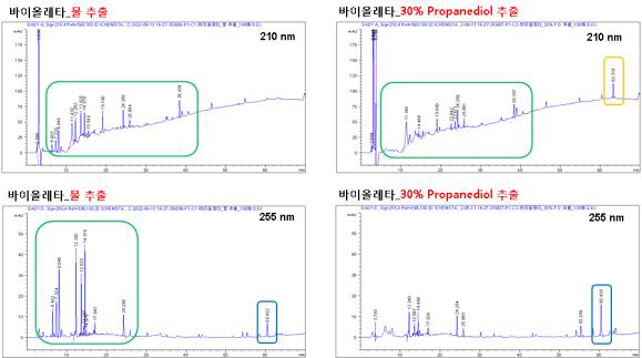 추출 용매에 따른 ‘바이올레타’ HPLC 피크 결과 (Chromatogram)