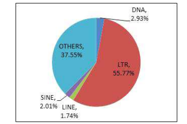 TG201 조립 유전체에 분포하는 반복 염기서열의 종류와 비율 DNA: DNA transposon, LTR: Long terminal repeats, LINE: long interspersed nuclear elements, SINE: short interspersed nuclear elements, OTHERS: Helitron, Retroposon, Simple_repeat etc.