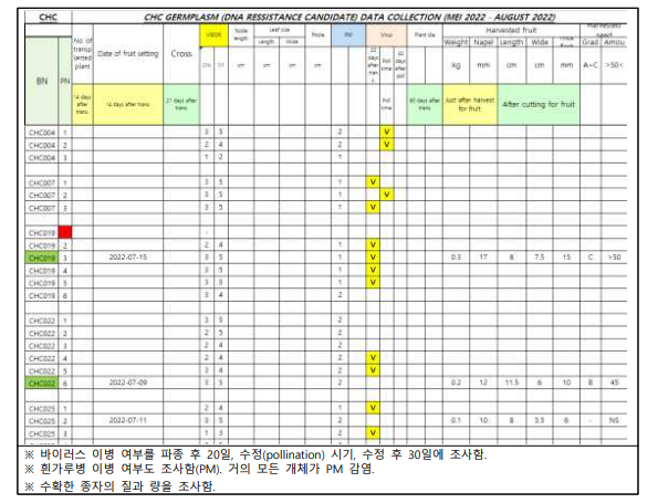 ToLCNDV 저항성 후보의 재배 기록 일부 예시