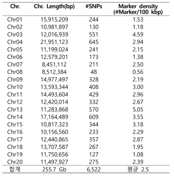 염색체별 길이와 SNP 수와 분포밀도