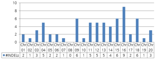 INDEL 길이차가 31 bp 이상인 69 INDEL 마커의 BP 염색체별 개수