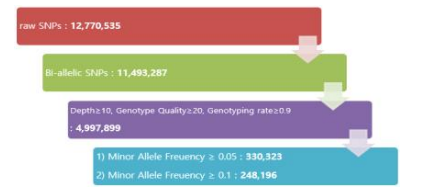 고품질 SNP 선발 과정과 선발된 SNP 수