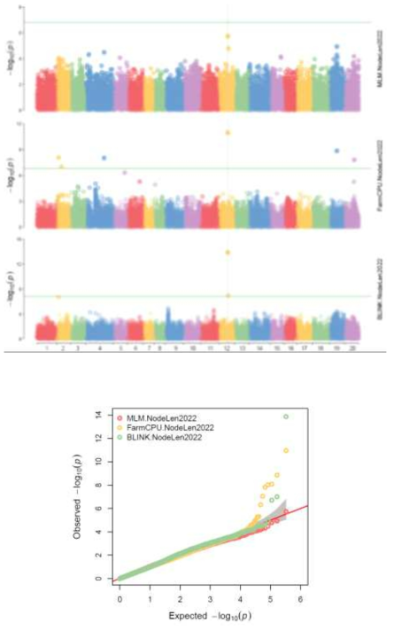 NodeLen 2022의 Manhattanplot과 QQplot> (SNP 330,323 분석결과)