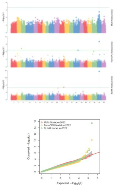 NodeLen 2022의 Manhattanplot과 QQplot> (SNP 248,196 분석결과)