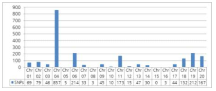 선별된 2,184개 SNP 마커 후보의 염색체별 수
