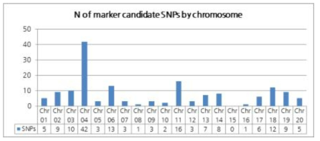 최종 선발된 158개의 SNP 마커 후보의 염색체별 수