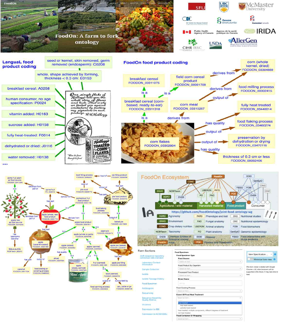 FoodOn Ecosystem의 코딩 및 데이터 연계 모식도 [출처] Damion M. Dooley, et al., 2018. FoodOn: a harmonized food ontology to increase global food traceability, quality control and data integration. NPJ Science of Food 2:23