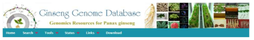 본 연구실에서 구축한 인삼 유전체 데이터베이스 (http://ginsengdb.snu.ac.kr/)