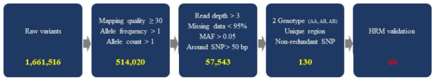 SNP 칩 고도화를 위한 GBS 데이터 기반 추가 SNP 필터링 과정 및 결과