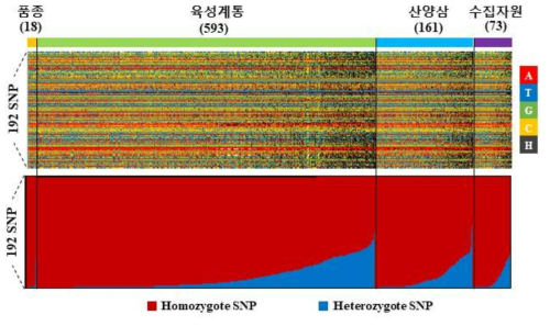 인삼 자원 분류에 따른 192개 SNP에 대한 homozygosity 양상
