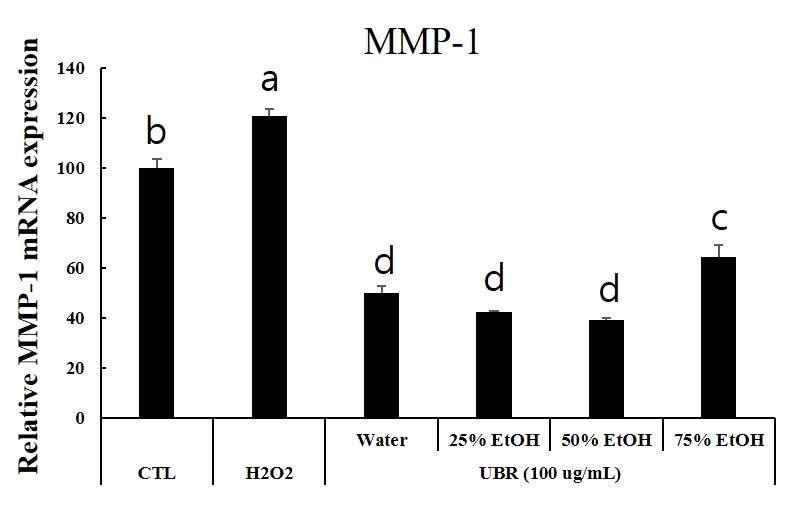 복분자 미숙과 추출물의 MMP-1(콜라겐 분해효소) 억제 효과