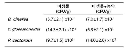 복분자 폿트 흙의 유용미생물의 수(CFU/g)