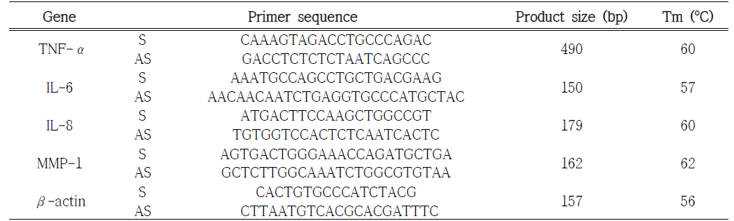 RT-PCR을 위한 primer 염기서열