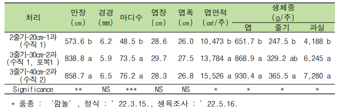 줄기 유인 수와 재식 거리에 따른 생육 특성