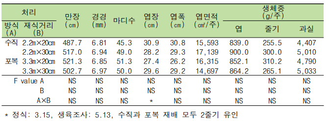 재배방식과 재식거리에 따른 식물체 생육 특성 (‘블랙루비’)