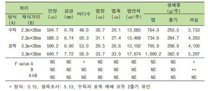 재배방식과 재식거리에 따른 식물체 생육 특성 (‘깜놀’)