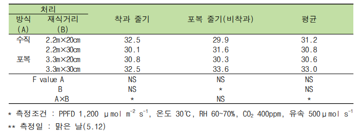 재배방식과 재식거리에 따른 순광합성 속도(품종 ‘블랙루비’, 단위 : μmole CO2 m-2 s-1)