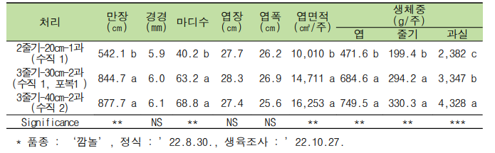 줄기 유인 수와 재식 거리에 따른 생육 특성(중소과종 ‘깜놀’)