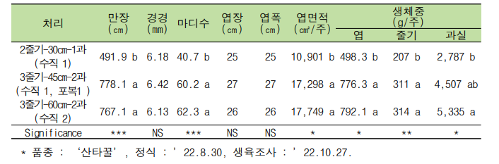 줄기 유인 수와 재식 거리에 따른 생육 특성(대과종 ‘산타꿀’)