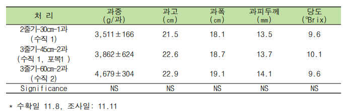 줄기 유인 수와 재식 거리에 따른 과실 특성(대과종 ‘산타꿀’)