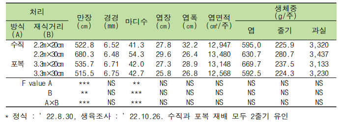 재배방식과 재식거리에 따른 식물체 생육 특성 (‘블랙루비’)